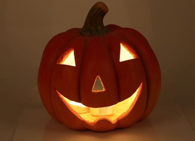 Dekoratyvinis moliūgas, didelis