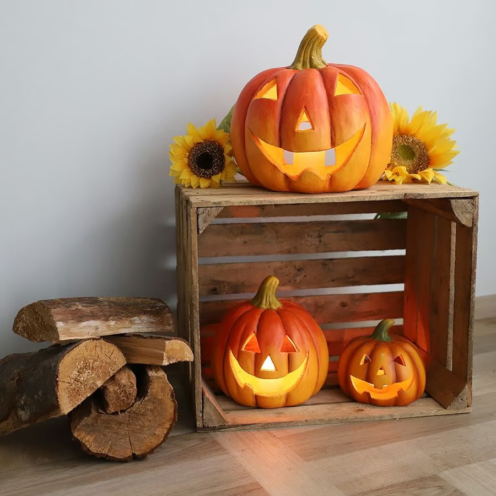 Dekoratyvinis moliūgas, didelis