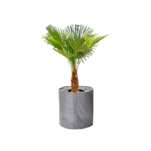 Apsauga nuo šalčio