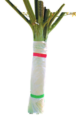 Neaustinės medžiagos maišai žiemai