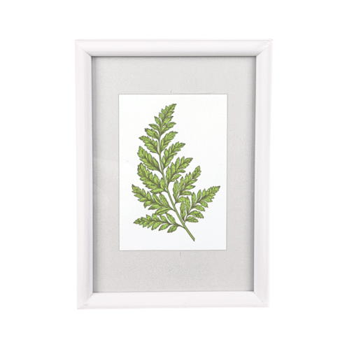 Paveikslo – nuotraukos rėmelis Paveikslo – nuotraukos rėmelis