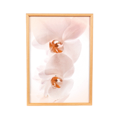 Paveikslo – nuotraukos rėmelis Paveikslo – nuotraukos rėmelis