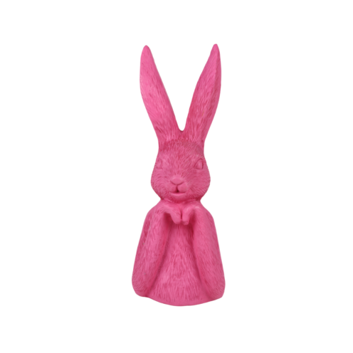 Zuikio biustas Zuikio biustas