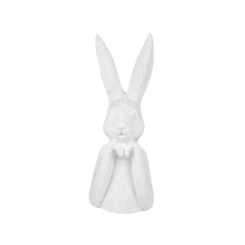 Zuikio biustas Zuikio biustas