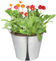 XXL dydžio cinkuotas vazonas