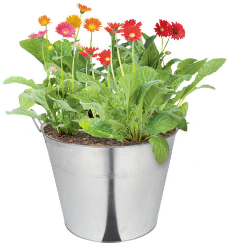 XXL dydžio cinkuotas vazonas