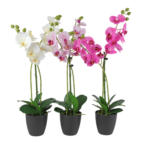 Dirbtinė orchidėja