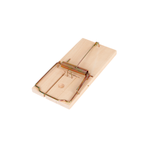 XL dydžio pelėkautai