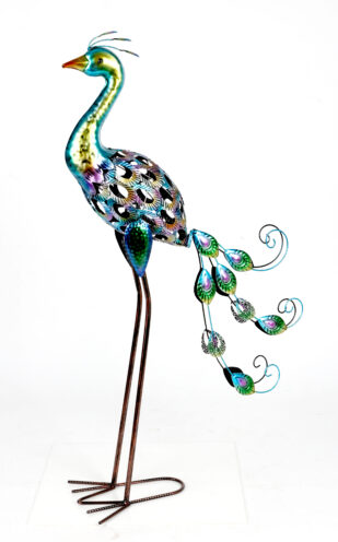 Dekoratyvinis paukštis