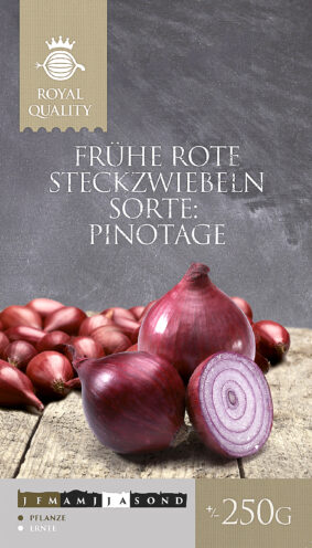 Ankstyvųjų geltonųjų arba raudonųjų svogūnų sodinukai