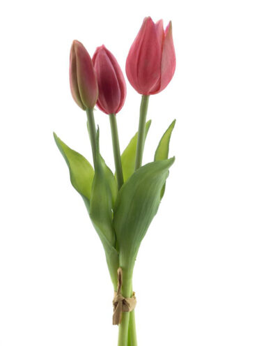 Silikoninės tulpės