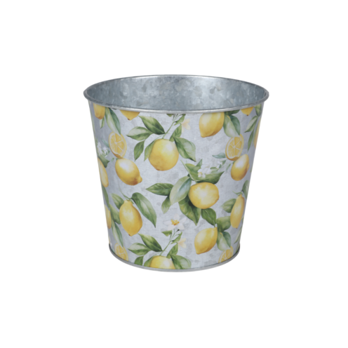 Vazonas „Provence“