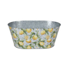 Vazonas „Provence“