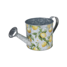 Vazonas „Provence“