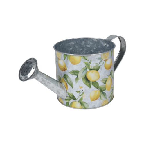 Vazonas „Provence“