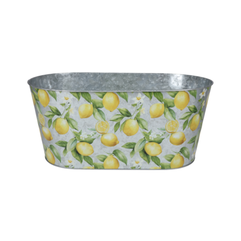 Vazonas „Provence“