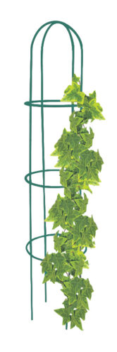 Kolonos formos augalų atrama