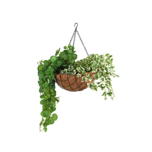 Pakabinamas vazonas Pakabinamas vazonas