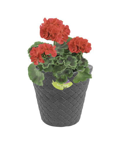 Gėlių vazonas „Matuba“ Gėlių vazonas „Matuba“