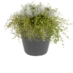 Gėlių vazonas „Matuba“