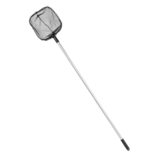 Tvenkinio graibštas