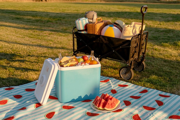 Elektrinis šaltkrepšis