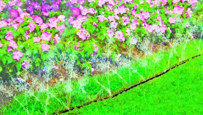 Purškiamoji laistymo žarna