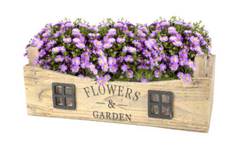 Sendinto stiliaus medinė dėžė „Flowers & Garden“