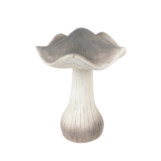 Dekoratyvinis grybas