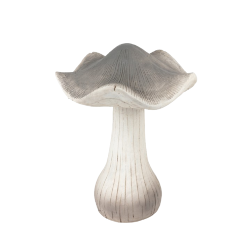 Dekoratyvinis grybas